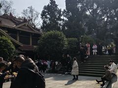 -都江堰普照寺