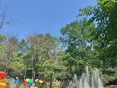 -燕塞湖鸟语林景区