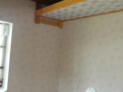 -金山农民画村-枫泾波兰倒置屋