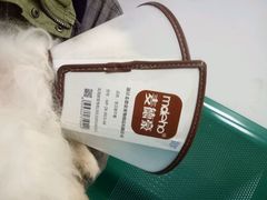 -康成宠物医院24H·CT·核磁共振