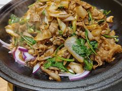 -紫光园·烤鸭(吕家营店)