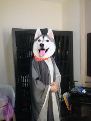 -盘子女人坊古装写真摄影(天津总店)