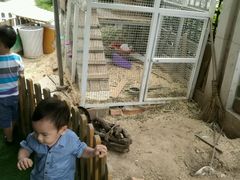 -乐融婴幼儿成长中心(四季青校区)