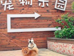 -汪说喵讲宠物乐园宠物酒店(红星美凯龙店)