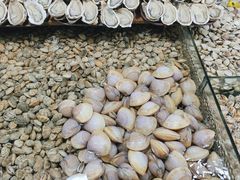 -淡村菜市场
