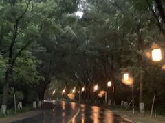 -天目湖涵田半山温泉