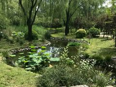 -朝阳公园游乐园