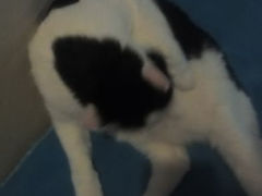 android_upload_pic-Anne猫窝咖啡屋