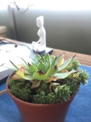 -酉嘉瑜伽YO+YOGA