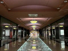 -青岛贝壳博物馆