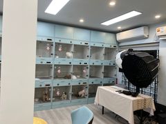 -萌宠之家·腊肠犬·马尔泰·小体犬舍