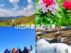 -灵山