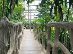 -南山植物园