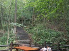 -天目湖山水园