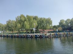 -白洋淀风景区