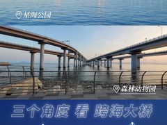 -星海湾跨海大桥