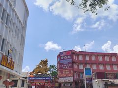 -马六甲鸡场街