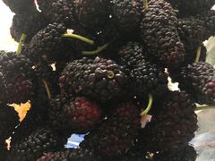 -老鄞江清水龙虾•赵赵家(江北店)