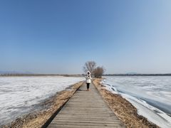-野鸭湖国家湿地公园