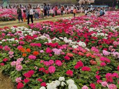 -盈香心动乐园
