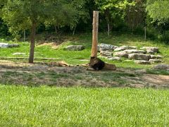 -北京野生动物园