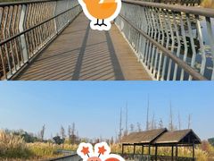 -白鹭湾湿地公园