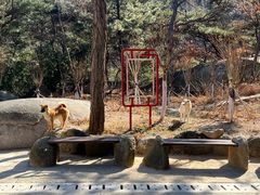 -崂山仰口游览区
