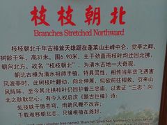 -安溪清水岩