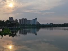 -莲花池公园