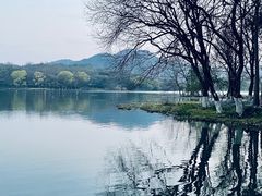 -茅家埠