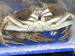 -阳澄湖大闸蟹·琼灵阁牌品牌连锁(吴中总店)