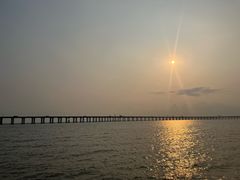 -宝安西湾红树林湿地公园