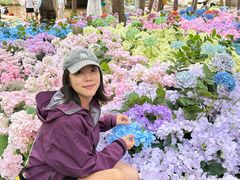 -洛阳白云山景区