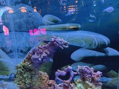 -秦皇岛新澳海底世界