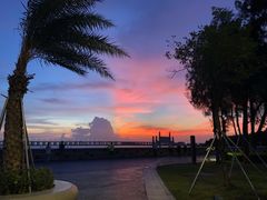 -宝安西湾红树林湿地公园