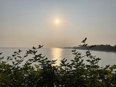 -贡湖湾湿地公园