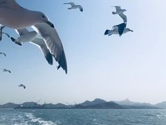 -海驴岛(荣成市)