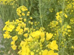 -中国天府农业博览园