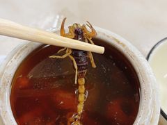 蝎子党参乌鸡汤-国英炖品店(甲子路店)