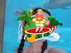 -亚特兰蒂斯水世界冒险乐园