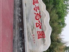 -莲花池公园