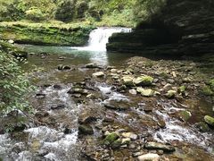 -黎坪国家森林公园