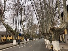 -T80科技文化国际社区-停车场