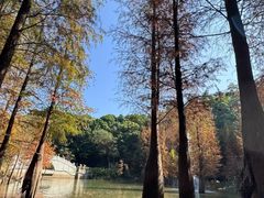 -广州市帽峰山景区