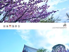 -浅草寺