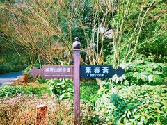 -九曜山