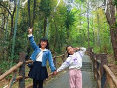 -青龙山国家森林公园