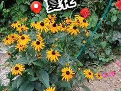 -星海广场