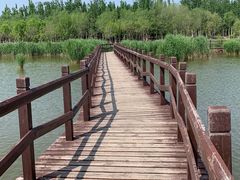 -西青郊野公园