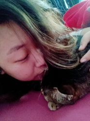 -M3 Hair Studio